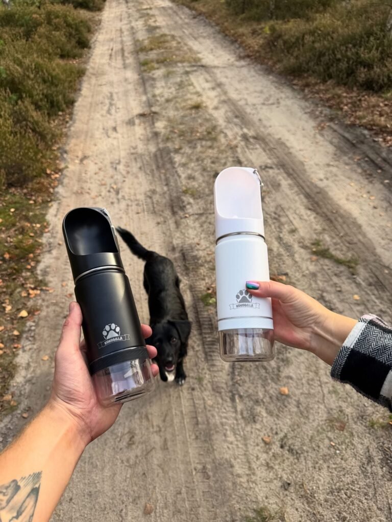 BD9AFD3F-F133-4D4E-AC5A-A653F19FD51D-scaled-1