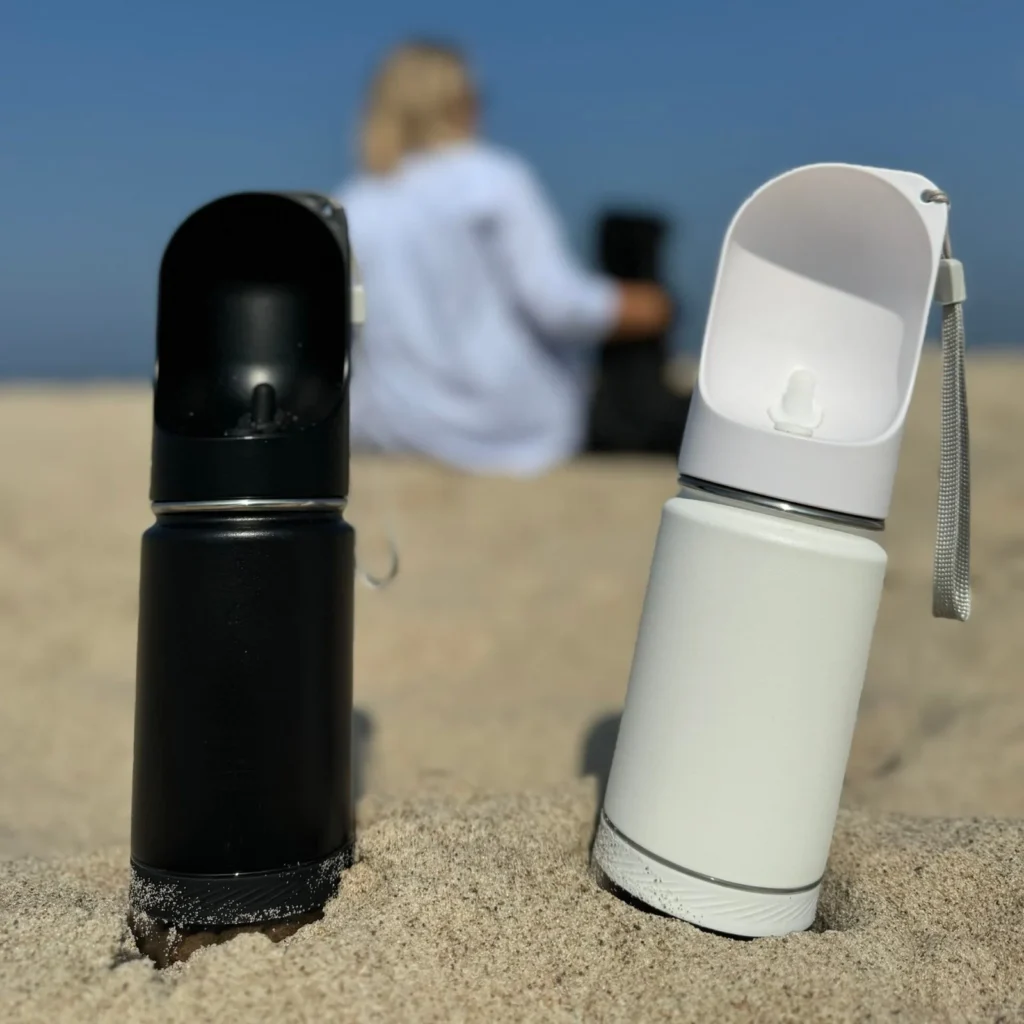 img_0469-1-scaled-1-e1762253746863